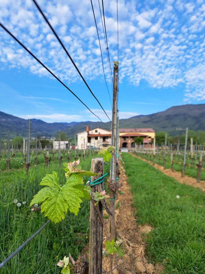 Posestvo Rouna - Winery And Apartments Vipava Bagian luar foto