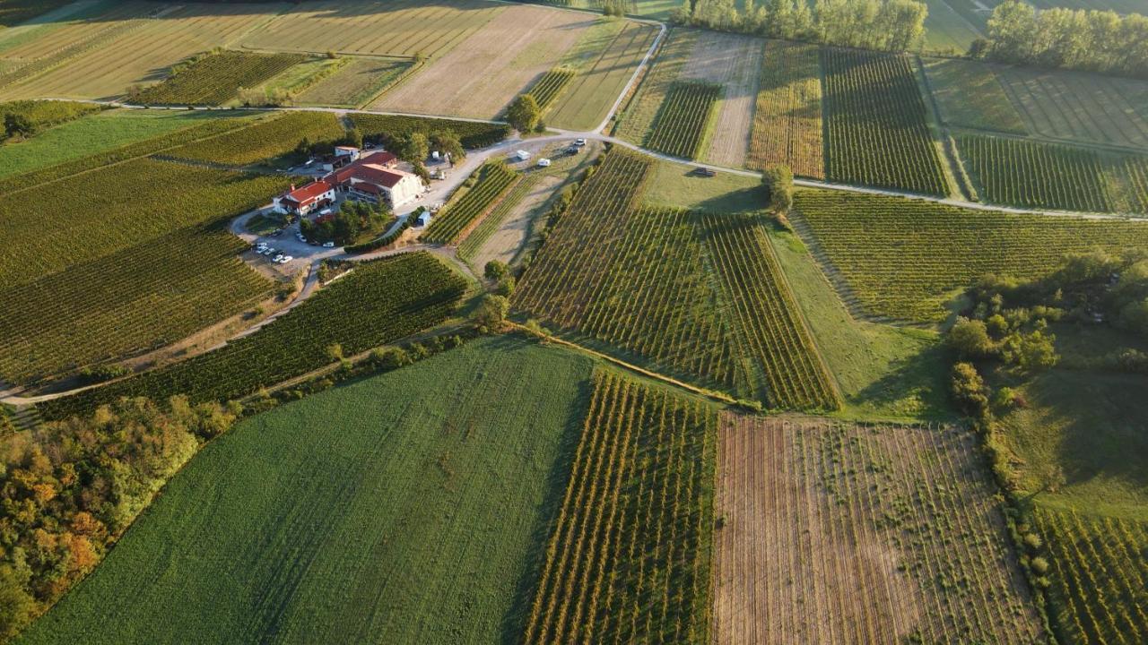 Posestvo Rouna - Winery And Apartments Vipava Bagian luar foto